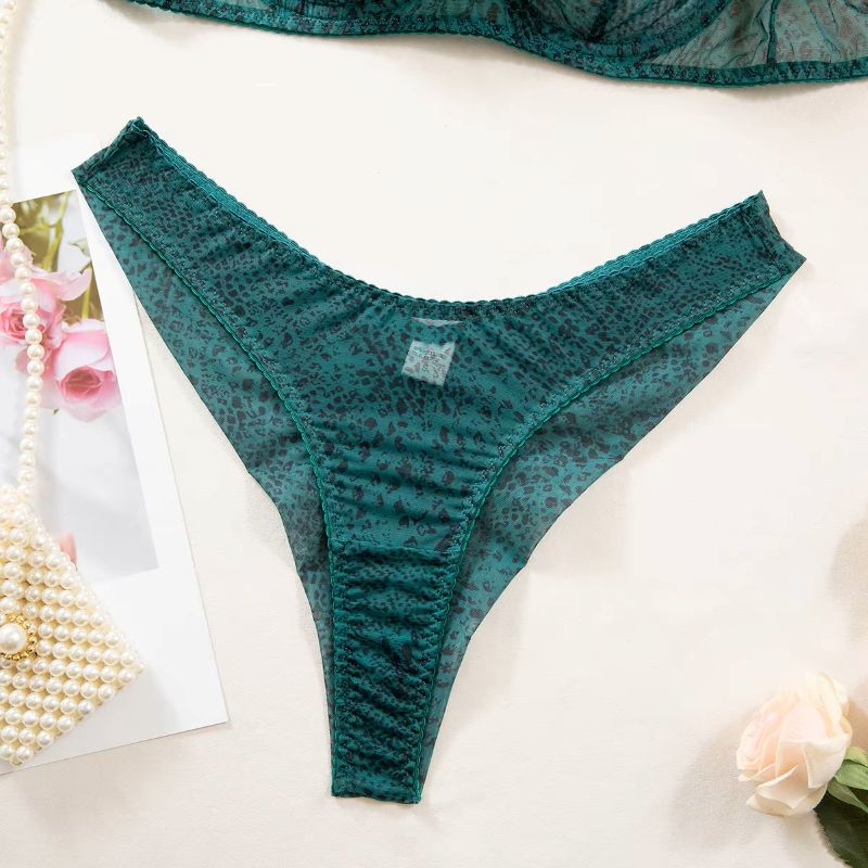 2pcs/Set Woman Lingerie Gather - Sheer Mesh Bra avaliação e preço